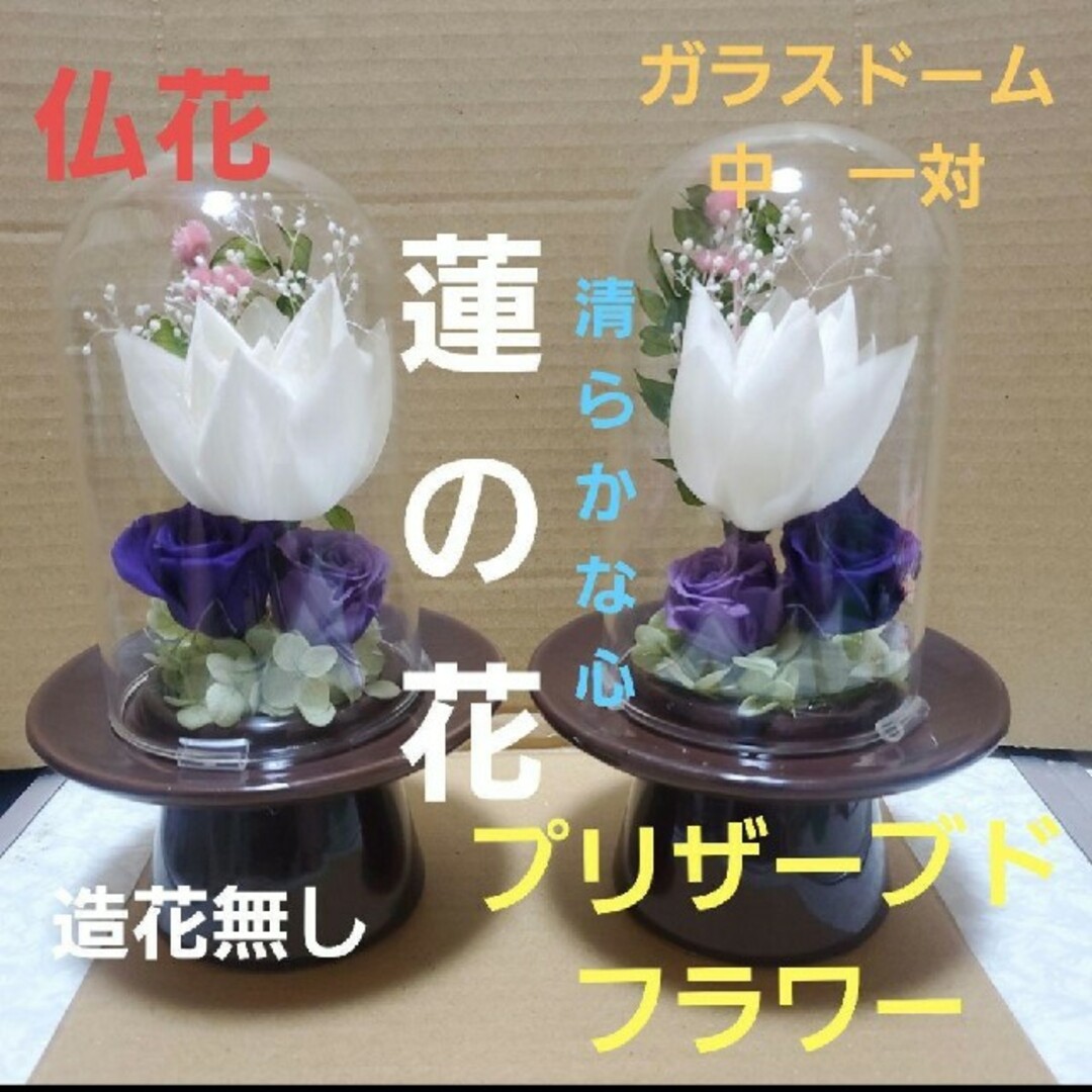 特選仏花 ガラスドーム中サイズ一対 造花無し 蓮の花 プリザーブド ...