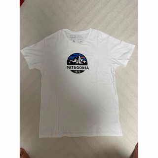 パタゴニア(patagonia)のパタゴニアtシャツ　パタゴニア　ＸＬサイズ(Tシャツ/カットソー(半袖/袖なし))