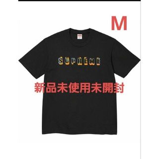 シュプリーム　Dyran Tee　ペールブルーS