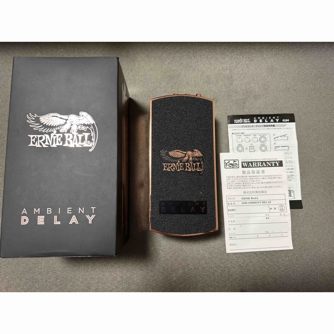 ERNIE BALL AMBIENT DELAYのサムネイル