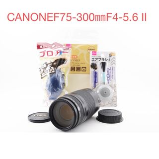 Canon - ☆極上品☆キャノン CANON EF 75-300mm F4-5.6 II☆の通販 by