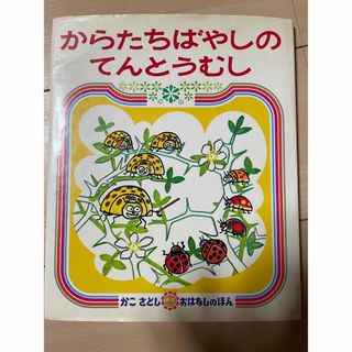 からたちばやしのてんとうむし　絵本(絵本/児童書)