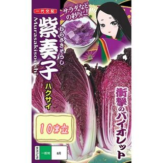 野菜の種 【ミニ白菜】紫奏氏①(野菜)