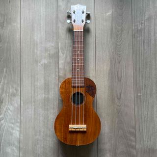 オンラインストア正規品 【入門セット】musicのドルフィン・ソプラノ