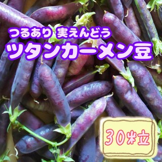野菜の種 【実エンドウ】ツタンカーメン①(野菜)
