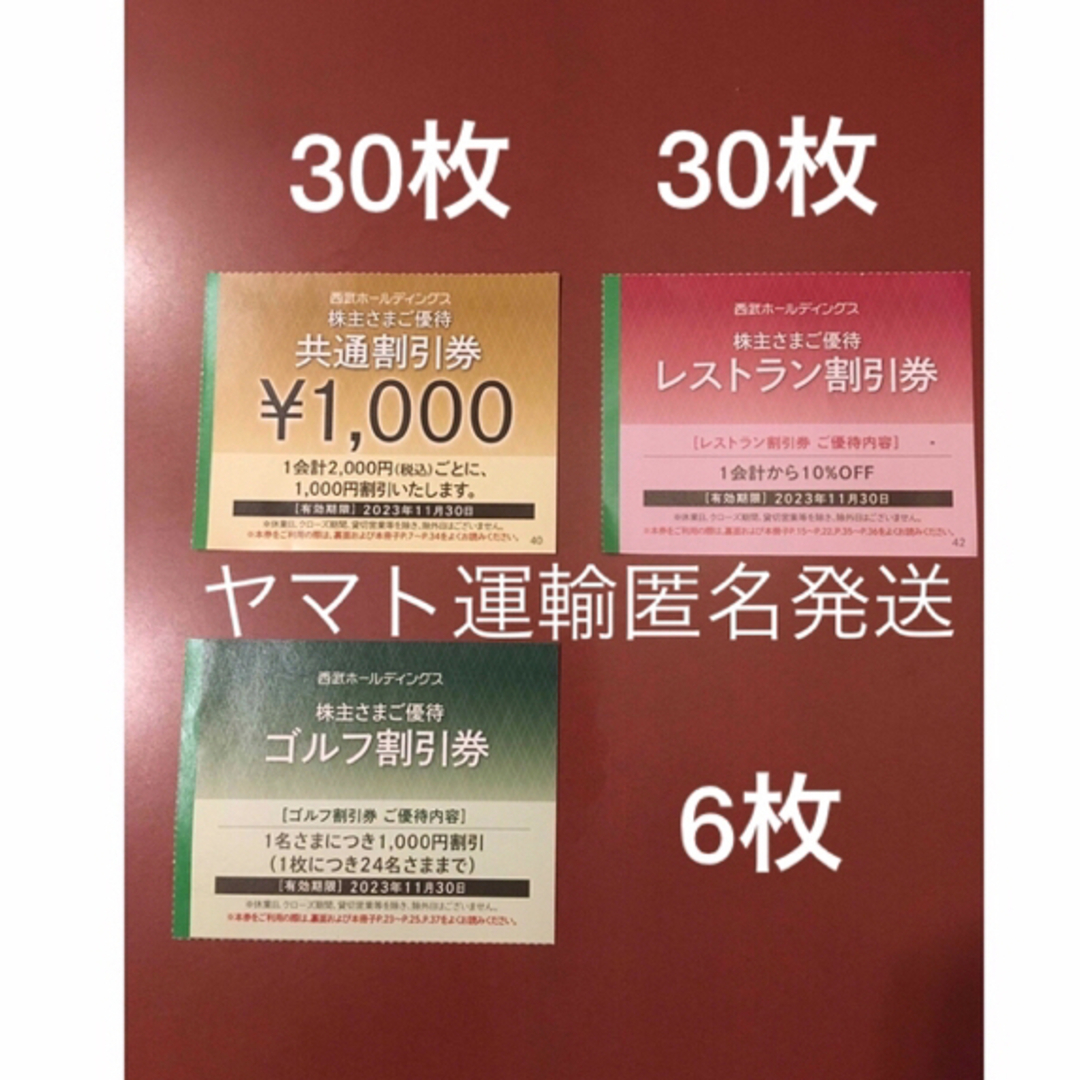 西武HD 株主優待 共通割引券 10枚 有効期限2023年11月30日