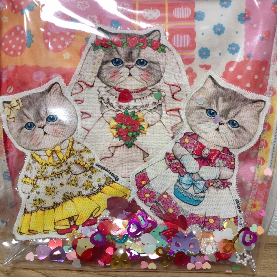 ビニールポーチ　シャカシャカポーチ　ルミちゃん　コヤンイサムチョン　ハンドメイド