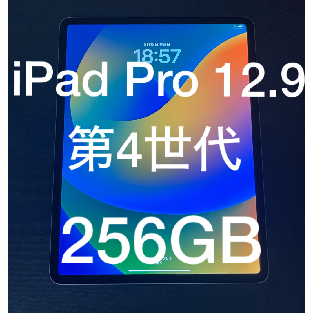 iPad Pro 12.9 インチ 第4世代 256GB