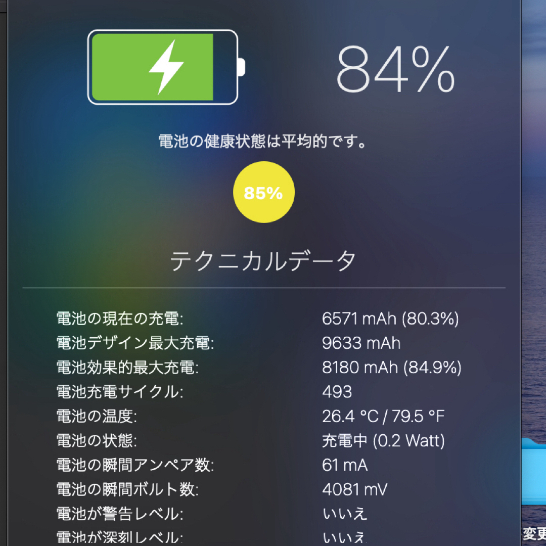 iPad Pro 12.9 インチ 第4世代 256GB