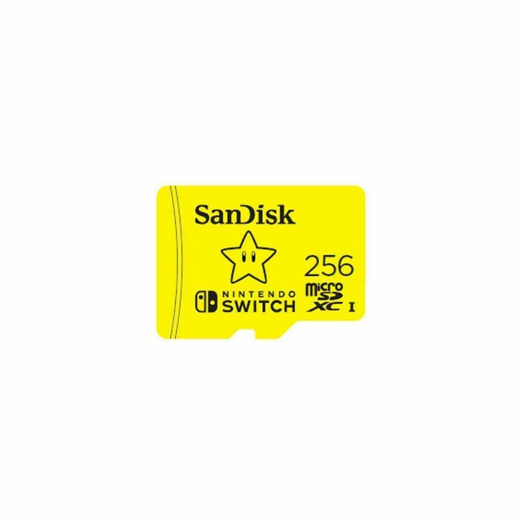 SanDisk 256 GB Class 10/UHS-I (U3) micro