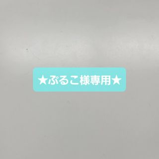 ★ぷるこ様専用★(その他)