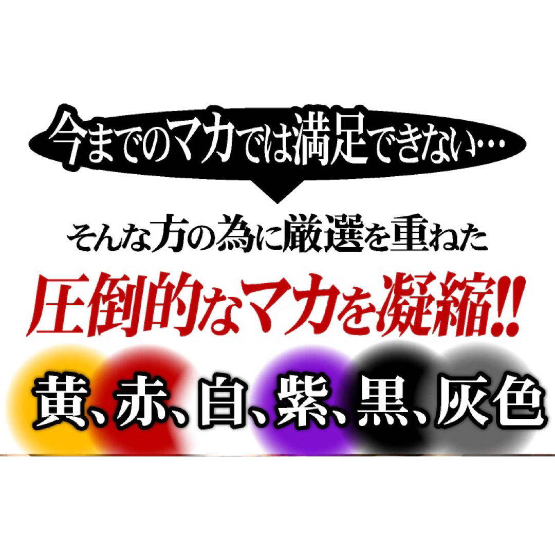 【24時間以内発送】13種マカ 豪快オールスター 大容量 約6か月分 × 2袋 食品/飲料/酒の健康食品(その他)の商品写真