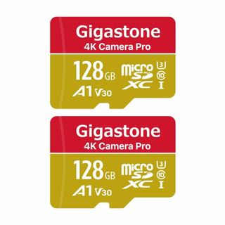 【色:256GBGamePro1-Pack】【5年保証 】Gigastone マ