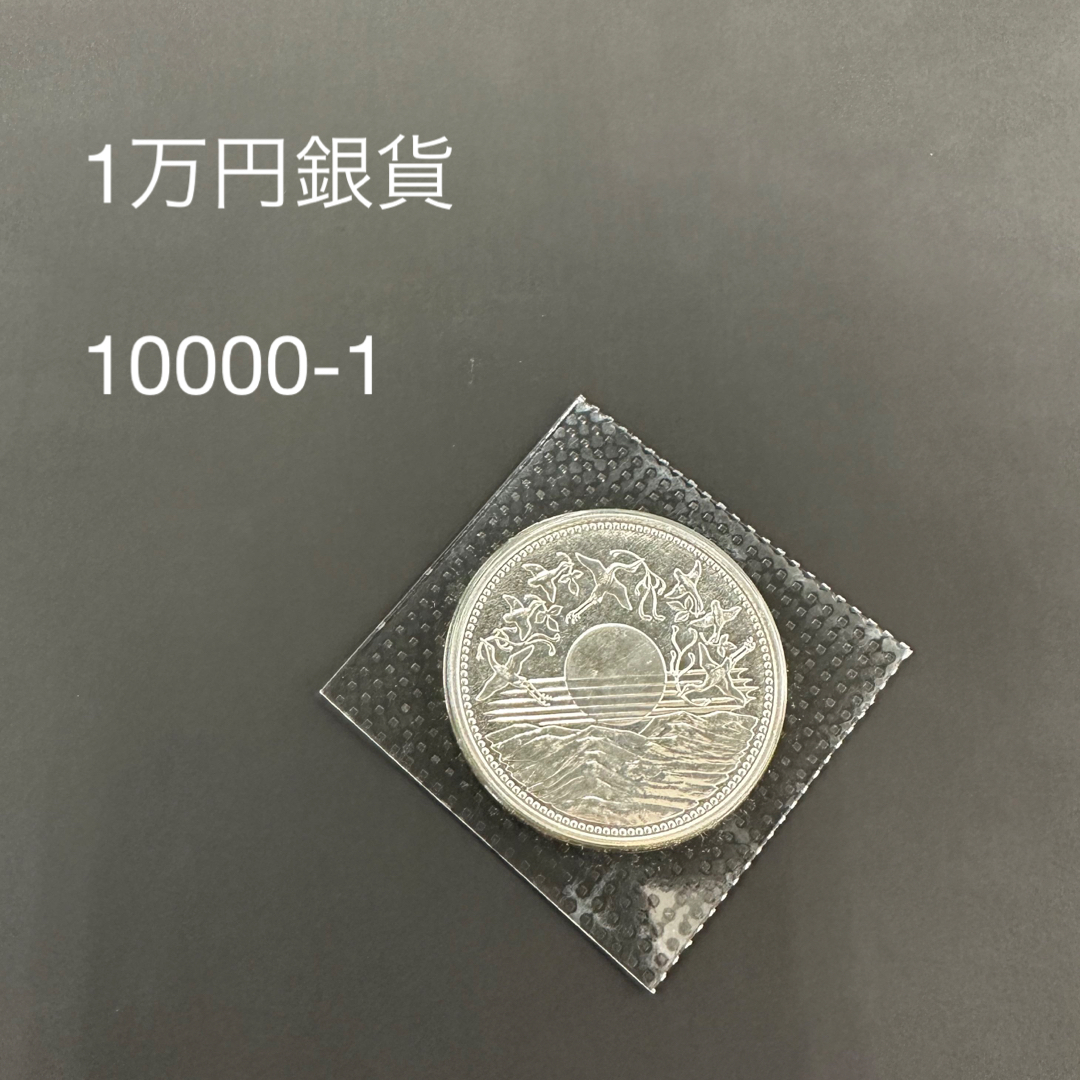 10000円銀貨　記念硬貨　一万円銀貨