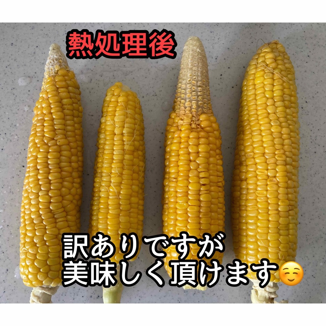 B品もろこし　ゴールドラッシュ　サニーショコラ　沖縄北海道不可 食品/飲料/酒の食品(野菜)の商品写真