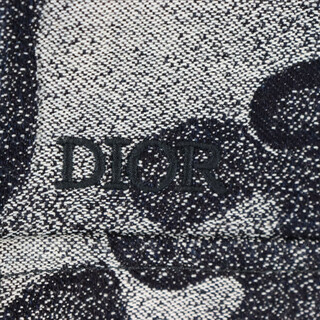 Dior - DIOR ディオール 21AW×PETER DOIG ピータードイグ ロゴ ...