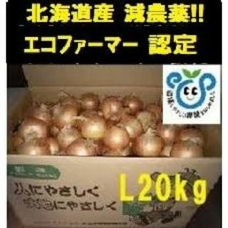 北海道産玉ねぎ Lサイズ 20kg(野菜)