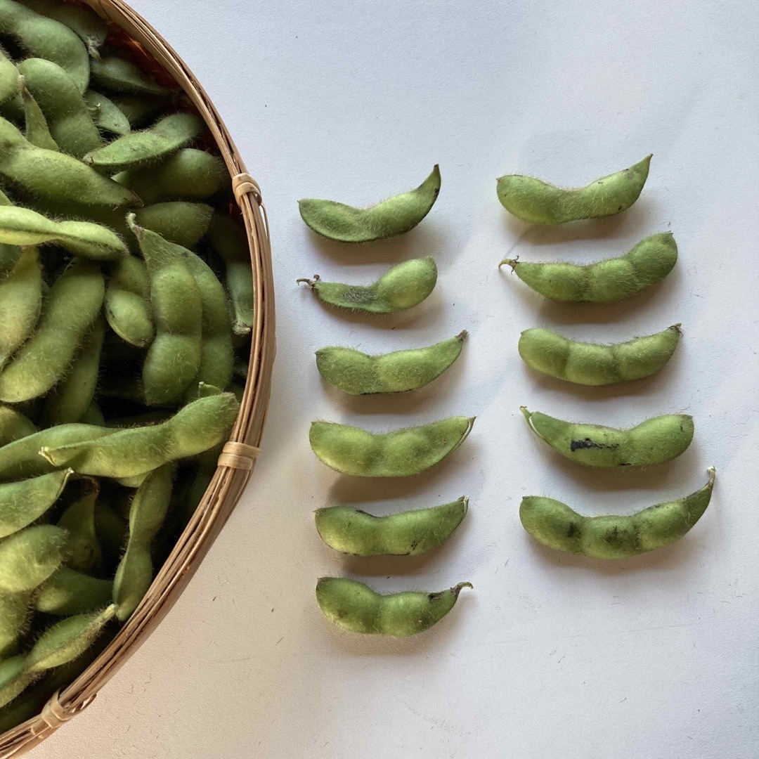 8/27-28発送★山形産枝豆　約1kg  無農薬　朝採り野菜　常温発送 食品/飲料/酒の食品(野菜)の商品写真