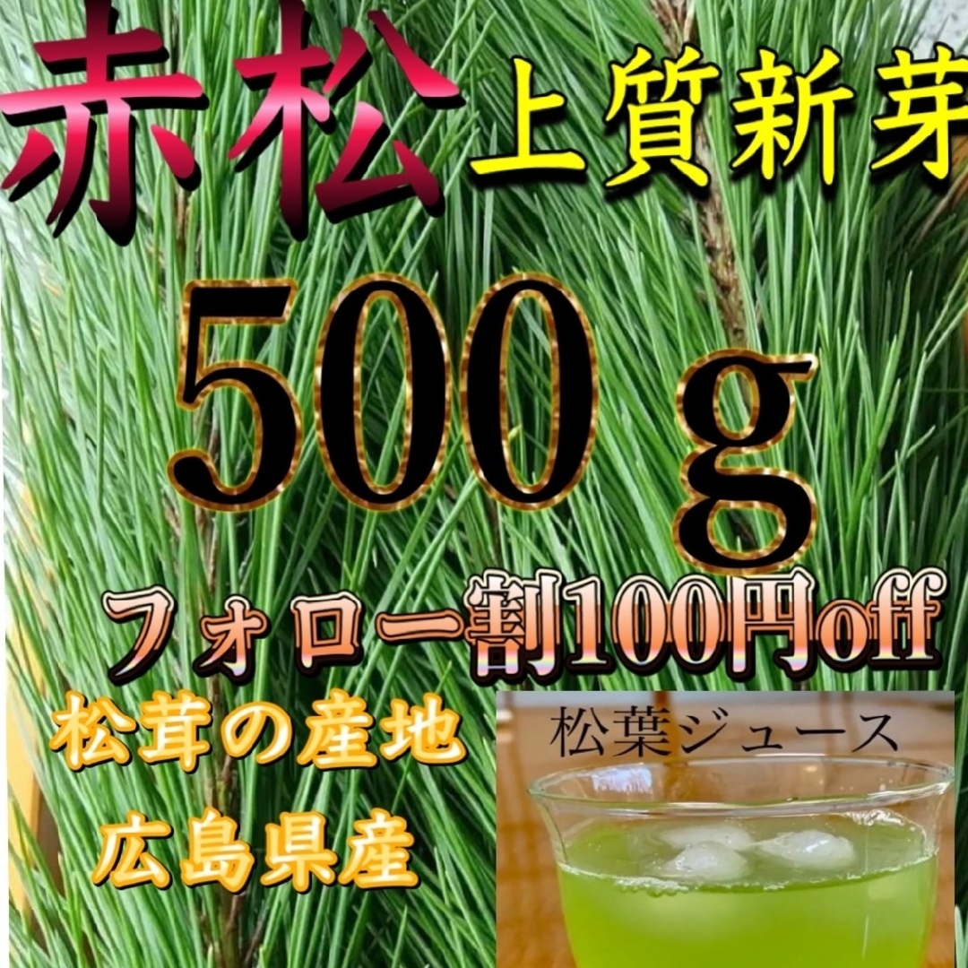 上質松葉、500㌘ 新芽 赤松 松の葉、松葉ジュース、松葉茶に。広島県産 食品/飲料/酒の食品(野菜)の商品写真