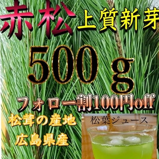上質松葉、500㌘ 新芽 赤松 松の葉、松葉ジュース、松葉茶に。広島県産(野菜)