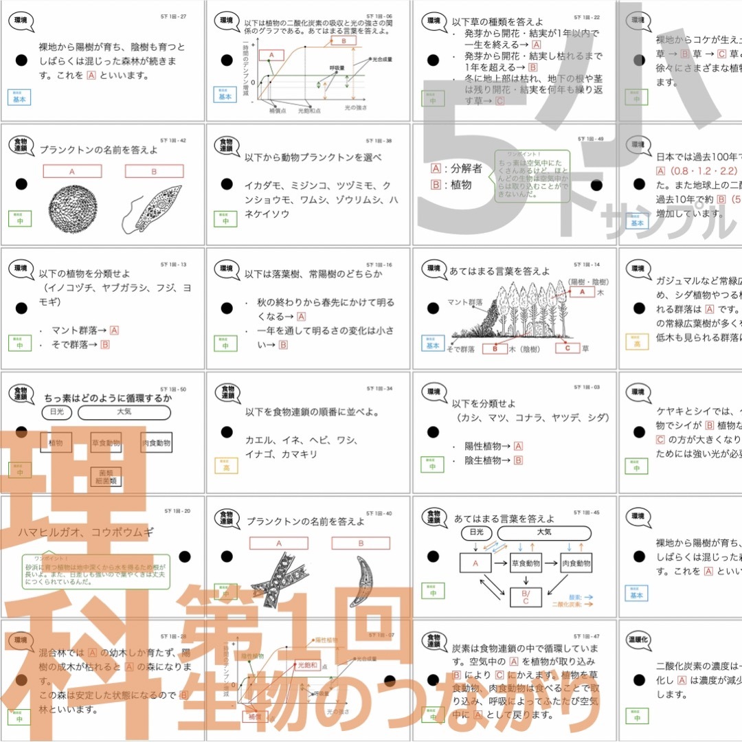 中学受験 暗記カード【5年下 社会・理科1-4回】 予習シリーズ 組み分け
