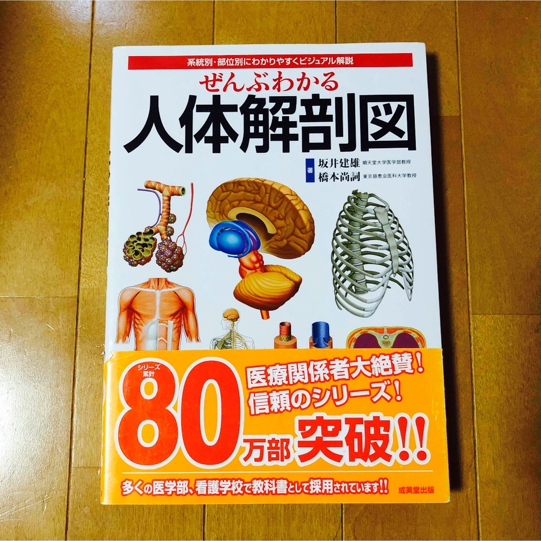 ぜんぶわかる人体解剖図 系統別・部位別にわかりやすくビジュアル解説 エンタメ/ホビーの本(その他)の商品写真