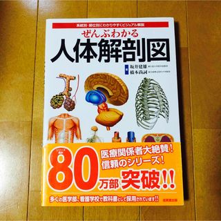 ぜんぶわかる人体解剖図 系統別・部位別にわかりやすくビジュアル解説(その他)