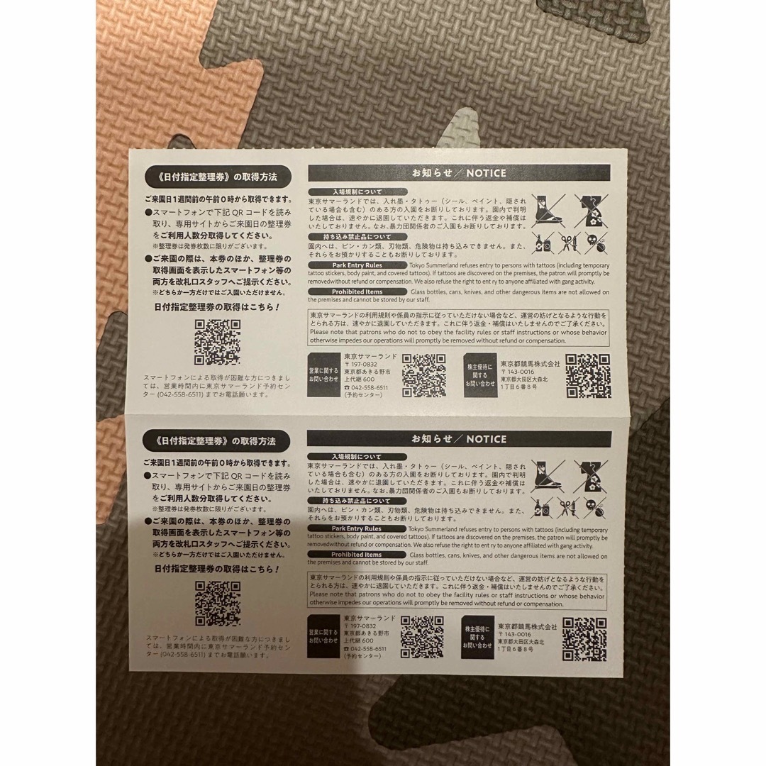 東京サマーランド 株主優待券 チケット フリーパス 2枚 1Dayパス 東京都　 その他のその他(その他)の商品写真