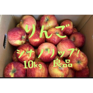 りんご シナノリップ 10kg 信州産 林檎 家庭用 販売用(フルーツ)