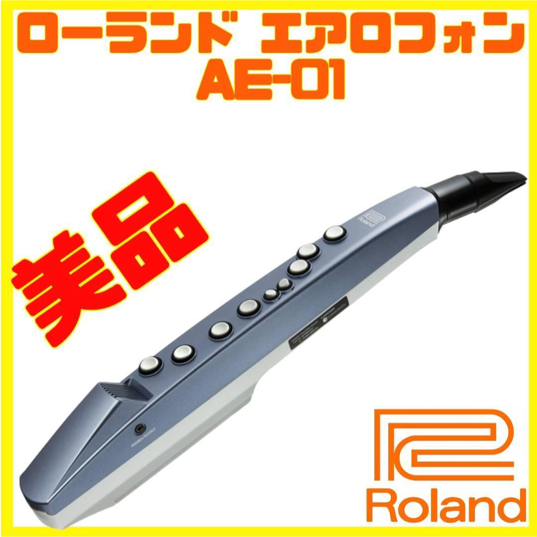美品 Roland AE-01 ローランド エアロフォン | www.innoveering.net