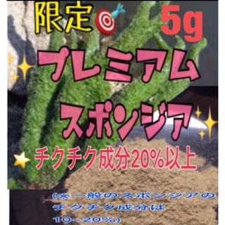 剥離あり⭐️大人気ロングセラー⭐️プレミアムスポンジア5g /2回分⭐️大特価(その他)