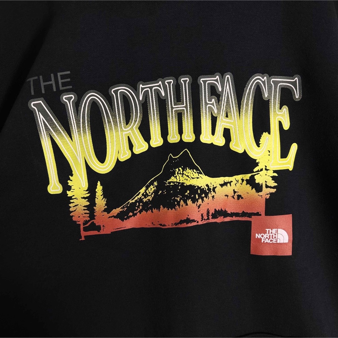 超貴重海外The North Face裏起毛パーカー‼️希少総柄日本入手不可能XL