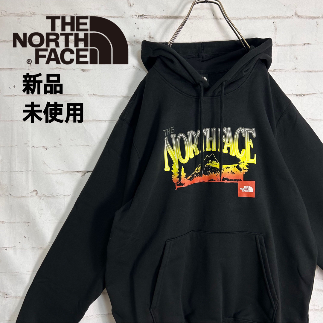 超貴重海外The North Face裏起毛パーカー‼️希少総柄日本入手不可能XL