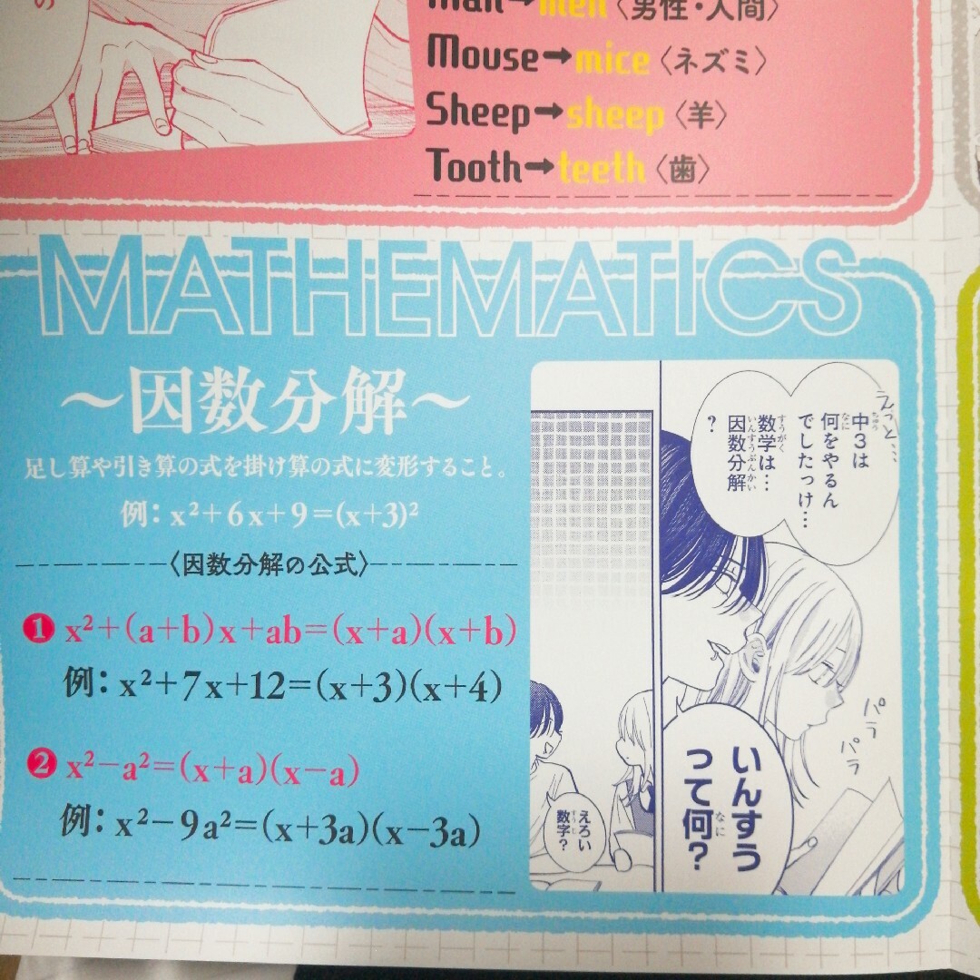 白泉社(ハクセンシャ)のはなゆめふろく♪春の嵐とモンスター★ポスター エンタメ/ホビーの漫画(少女漫画)の商品写真