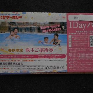 【2枚】東京サマーランド　春秋限定招待券　1dayパス　フリーパス　株主優待券(遊園地/テーマパーク)