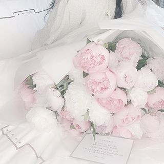 みかりん様 同行者様 専用ページ☺︎の通販 by yu's shop|ラクマ