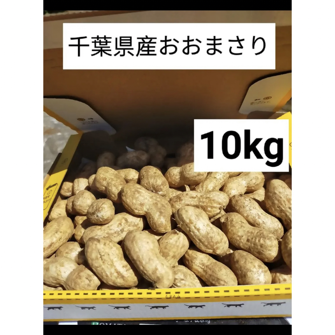 海外　LITTLEHEROESDENTISTRY　千葉県産生落花生おおまさり箱込み10kg　で　買う　野菜