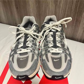 NIKE MFN7509 P-6000 WHITE 26.0cm