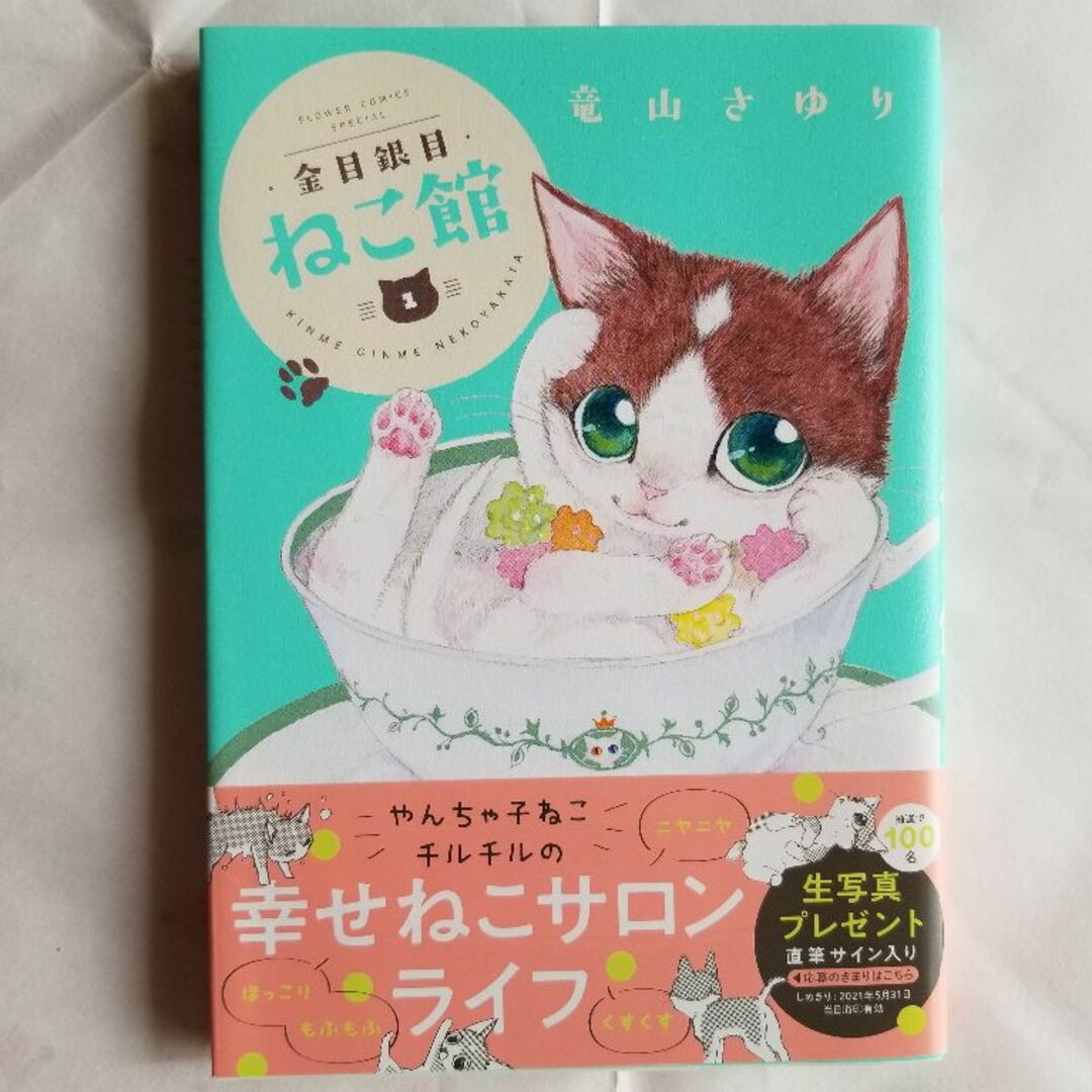 金目銀目ねこ館【１巻】／　竜山さゆり　 エンタメ/ホビーの漫画(青年漫画)の商品写真