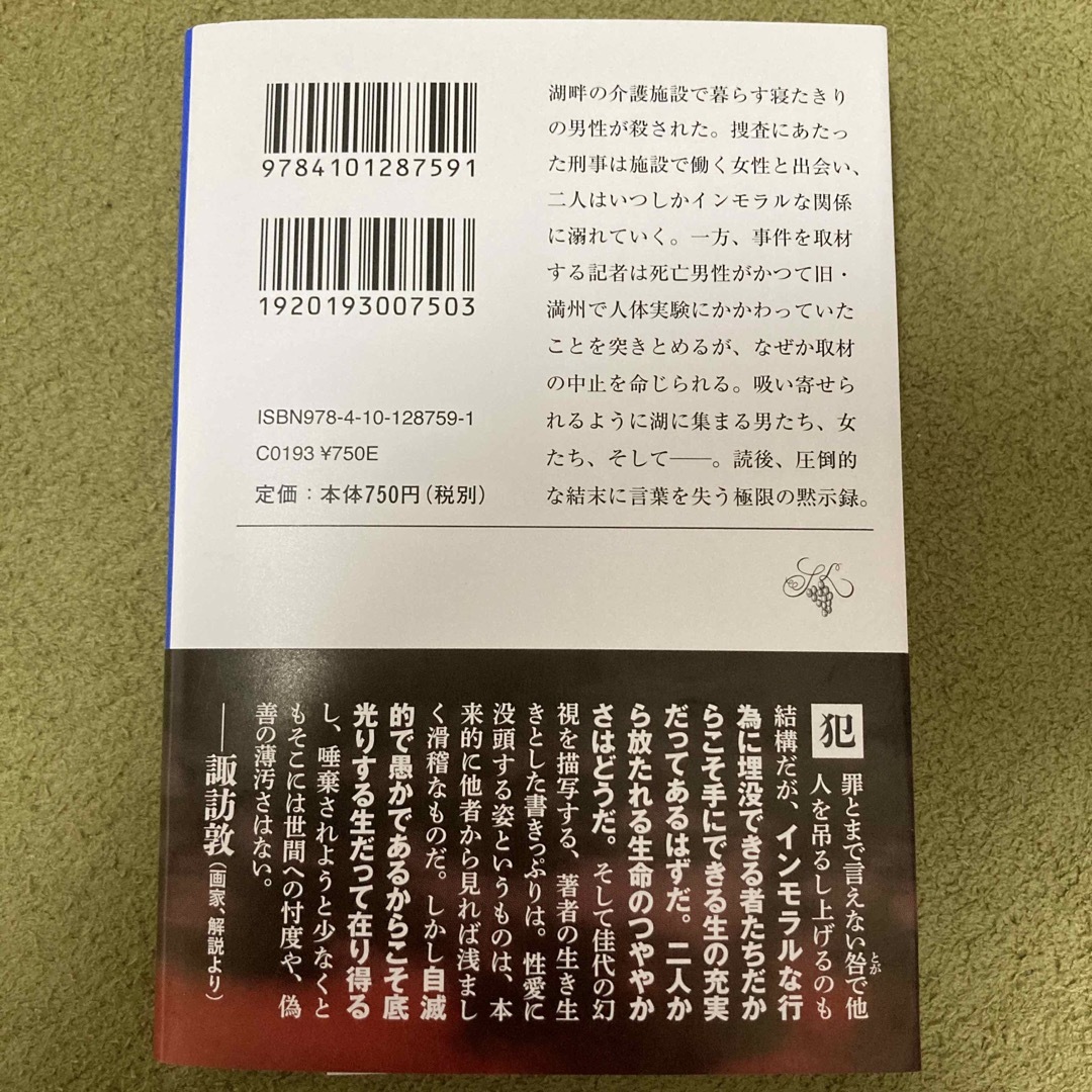 新潮社(シンチョウシャ)の湖の女たち エンタメ/ホビーの本(その他)の商品写真