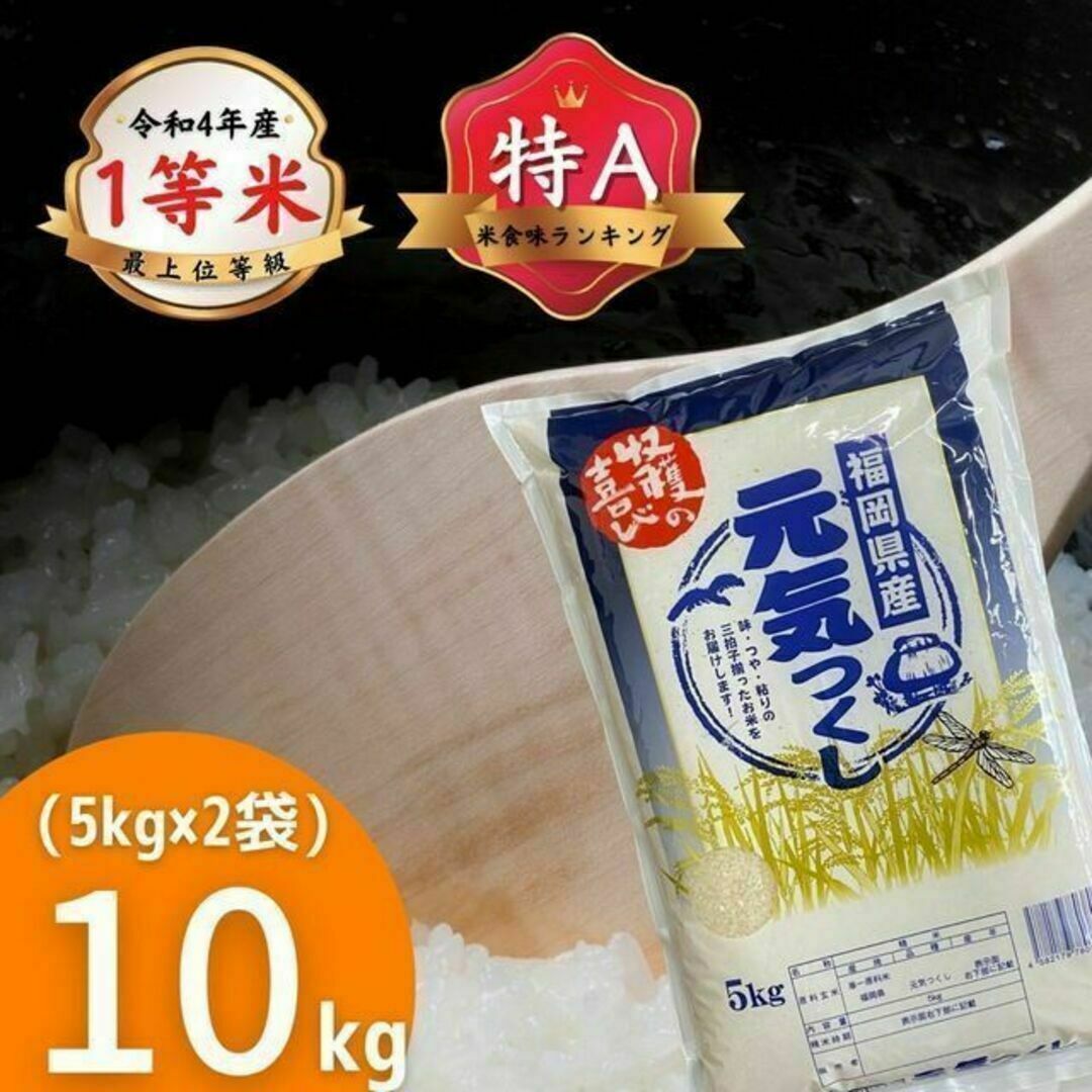 兵庫県丹波産こしひかり無洗米9kg(令和4年産