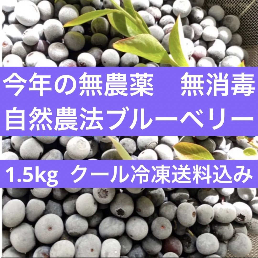 2023年度産　冷凍無農薬ブルーベリー🫐クール冷凍発送📦　1.5kg 食品/飲料/酒の食品(フルーツ)の商品写真