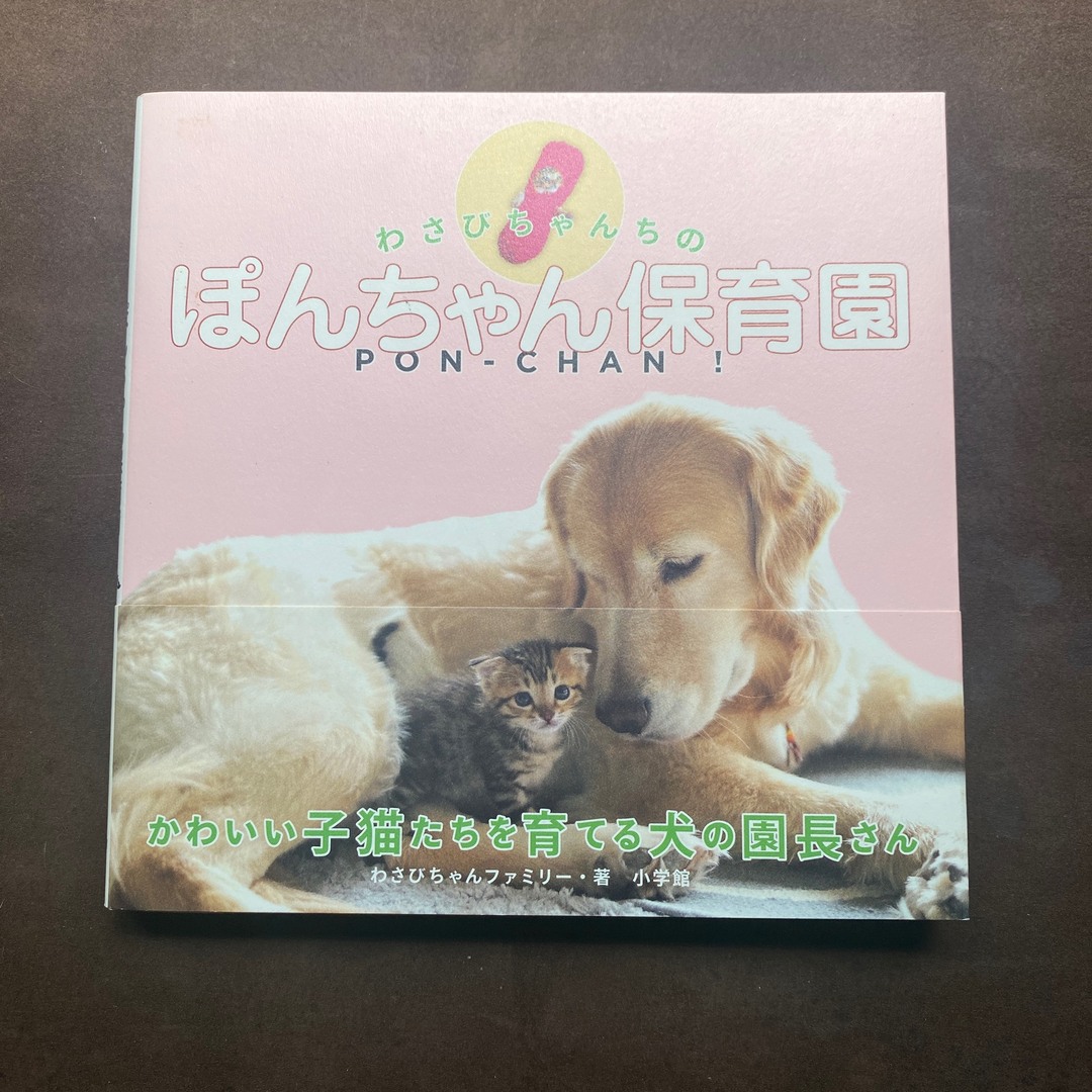 わさびちゃんちのぽんちゃん保育園 エンタメ/ホビーの本(ノンフィクション/教養)の商品写真