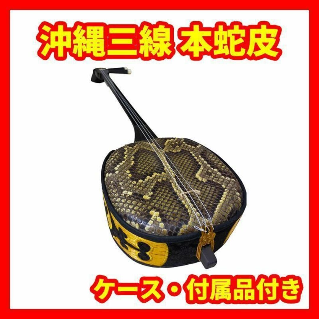 沖縄 本蛇皮 三線 - 和楽器