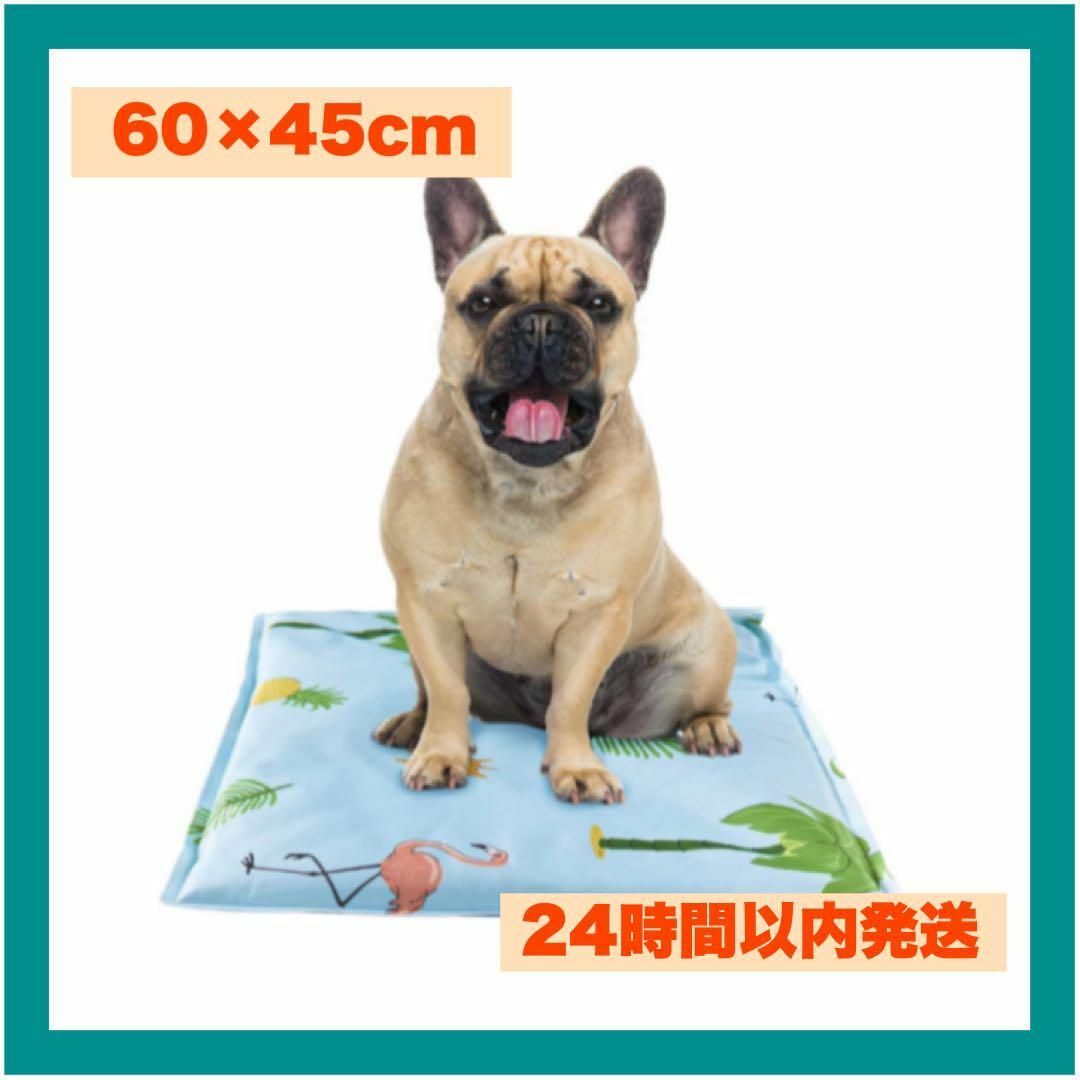 ペット ひんやりマット 猫/小型犬 冷却マット 60×45cm その他のペット用品(犬)の商品写真