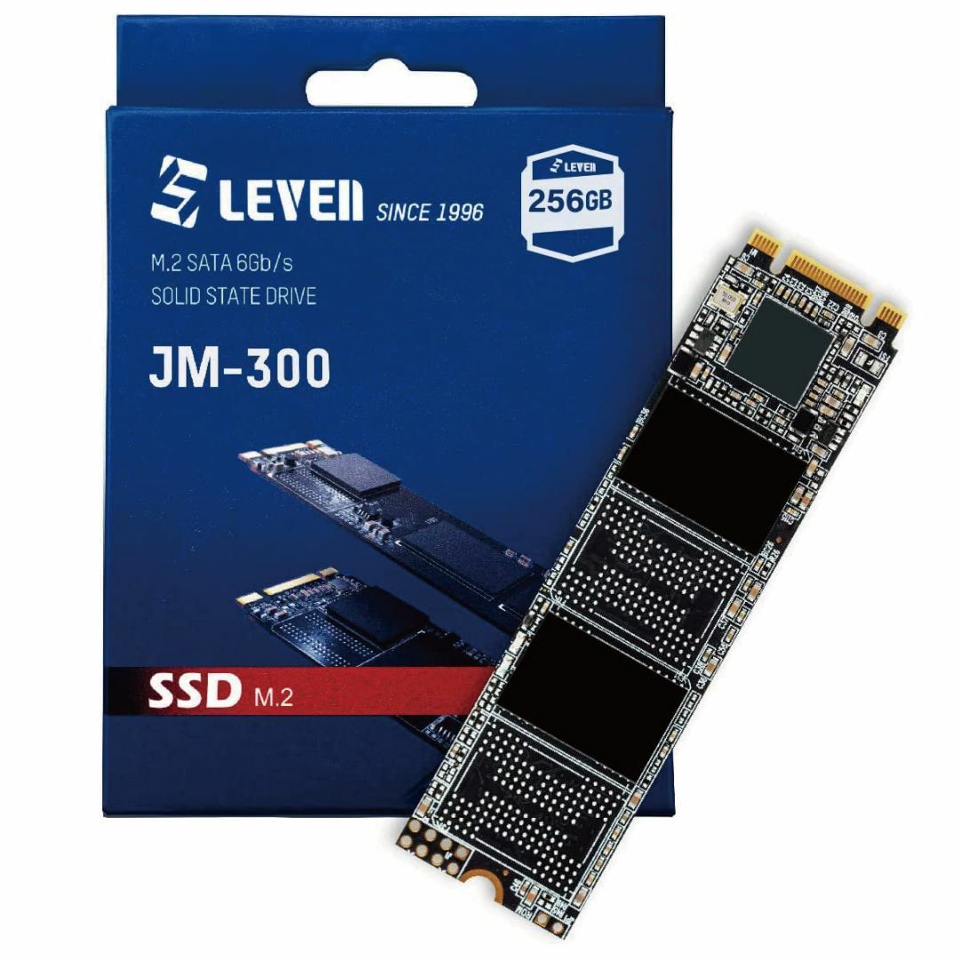 SSD 256GB M.2 SATA 6Gbps 正常 [SSDMS#6]