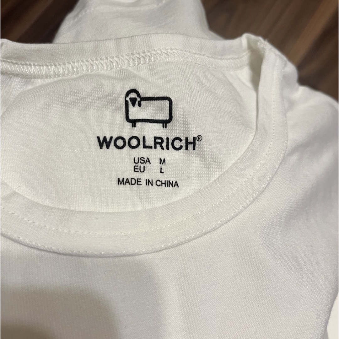 WOOLRICH(ウールリッチ)のWOOLRICH Mサイズ Tシャツ メンズのトップス(Tシャツ/カットソー(半袖/袖なし))の商品写真