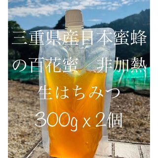 三重県産日本蜜蜂の百花蜜・伊勢はちみつ 300gx2個　生はちみつ　非加熱(調味料)