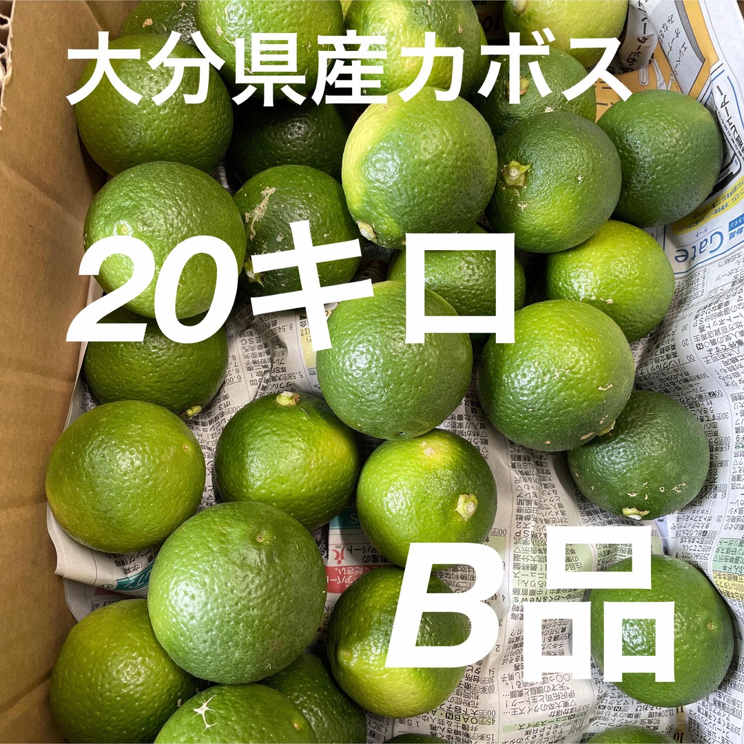 大分県産カボスB便 食品/飲料/酒の食品(フルーツ)の商品写真