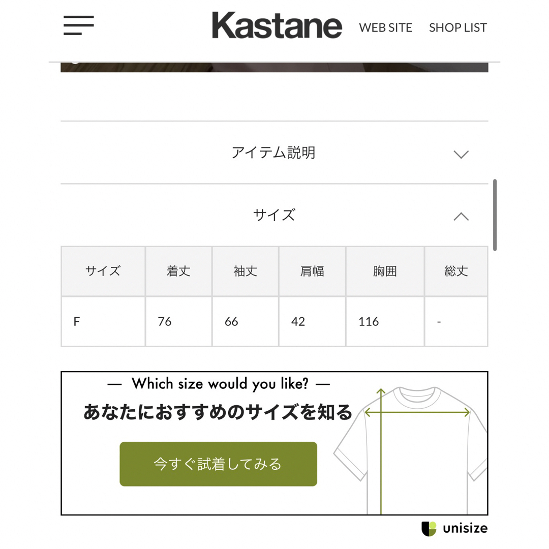 Kastane シアーワッシャードロストBIGシャツ 7